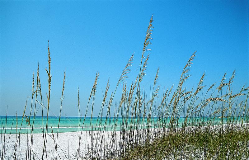 White Sand Beaches in Pensacola